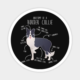 Border Collie Dog Anatomy Magnet